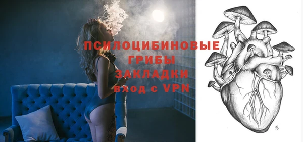 MDMA Богородицк