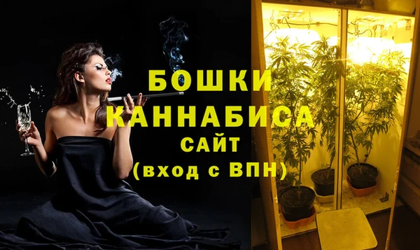 ГАЛЛЮЦИНОГЕННЫЕ ГРИБЫ Белоозёрский
