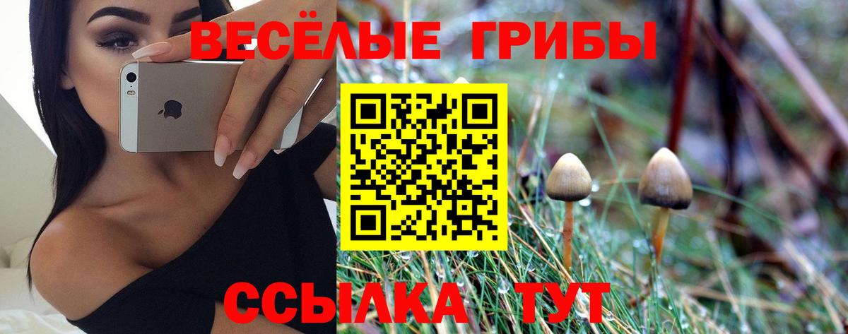 Галлюциногенные грибы GOLDEN TEACHER Бутурлиновка